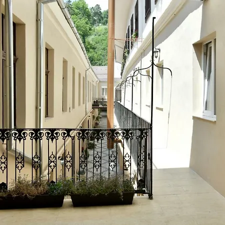 Safrano Palace بيت ضيافة براشوف